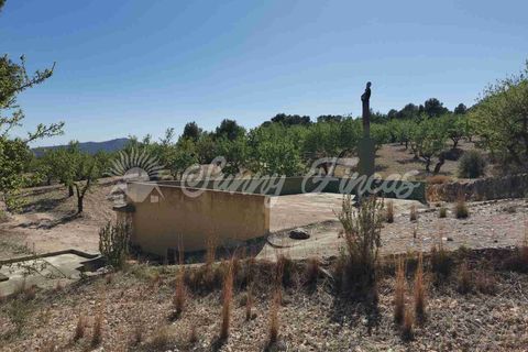 Masia a Salinas, Alicante, Salinas - € 85.000 | Ref: SF0447 - foto 16